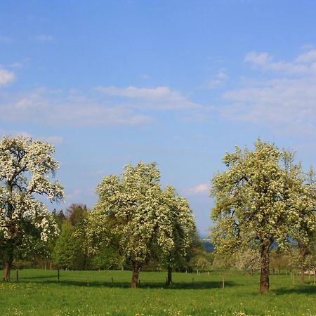 Appartements Apfelblüte Bad Feilnbach Exterior foto